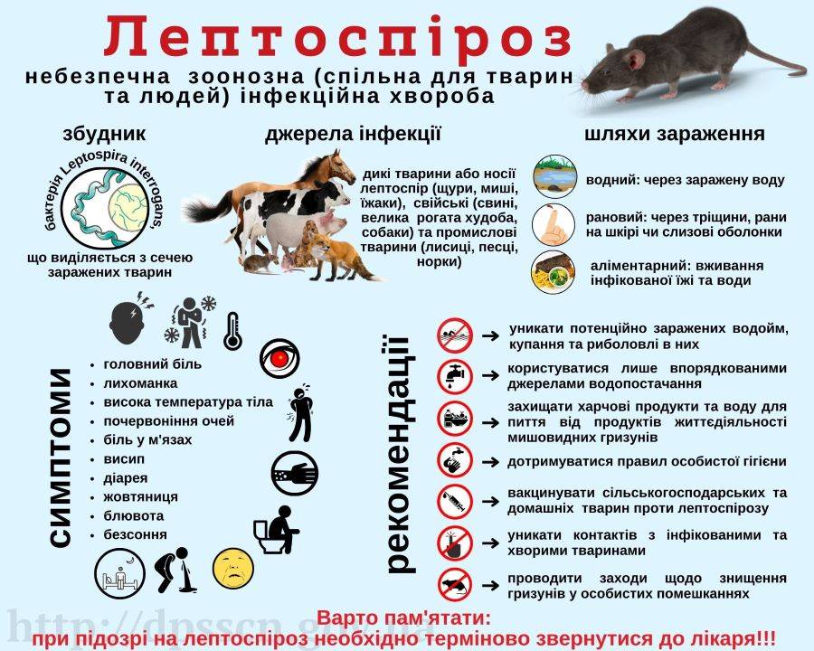 0fd4836257f54a94b1cdb37b84c7708b_XL.jpg