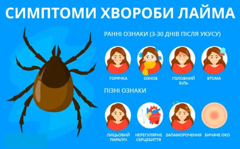 Симптоми_хвороби_Лайма.jpg